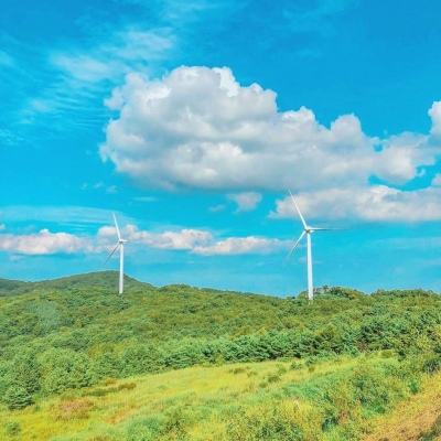 印度佛宝花珠回归 - July 31, 2025