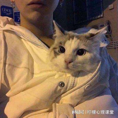 傲视龙城之颠覆手游版下载